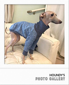 バロンくん Tシャツ Italian Greyhound Clothing