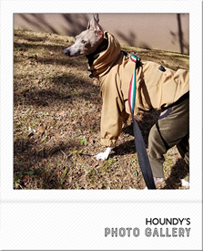 Italian Greyhound Clothing Mountain hoodie