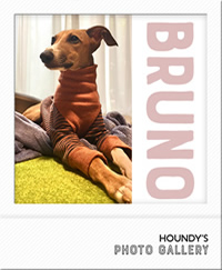 ブルーノくん イタグレ用 ロングスリーブ